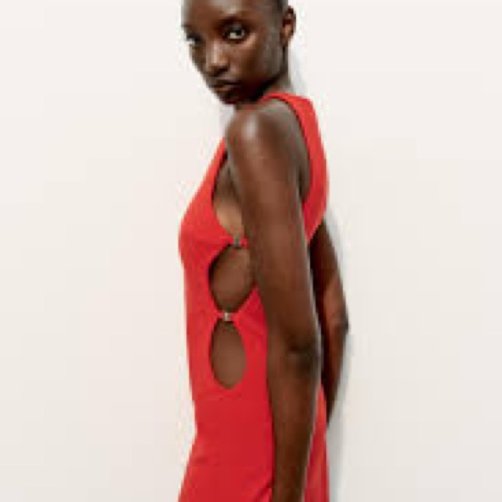 Zara Red Mini Dress with side cutouts
